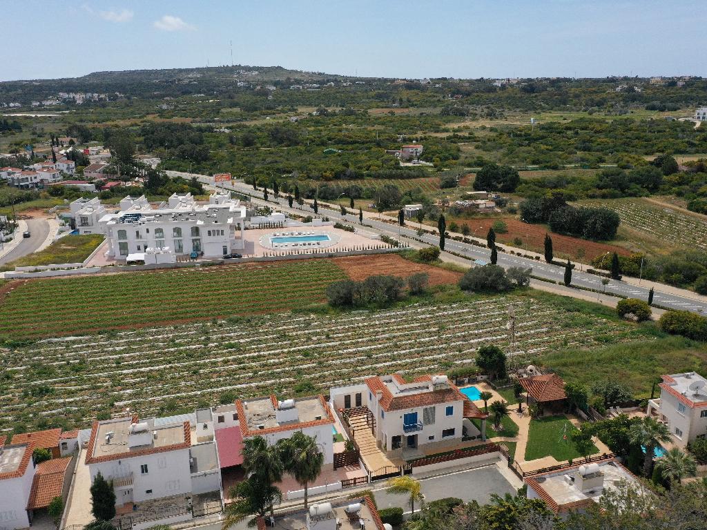 Field-Paralimni-PR36550