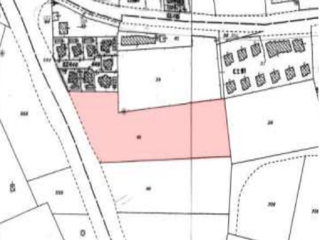 Field-Paralimni-PR36550