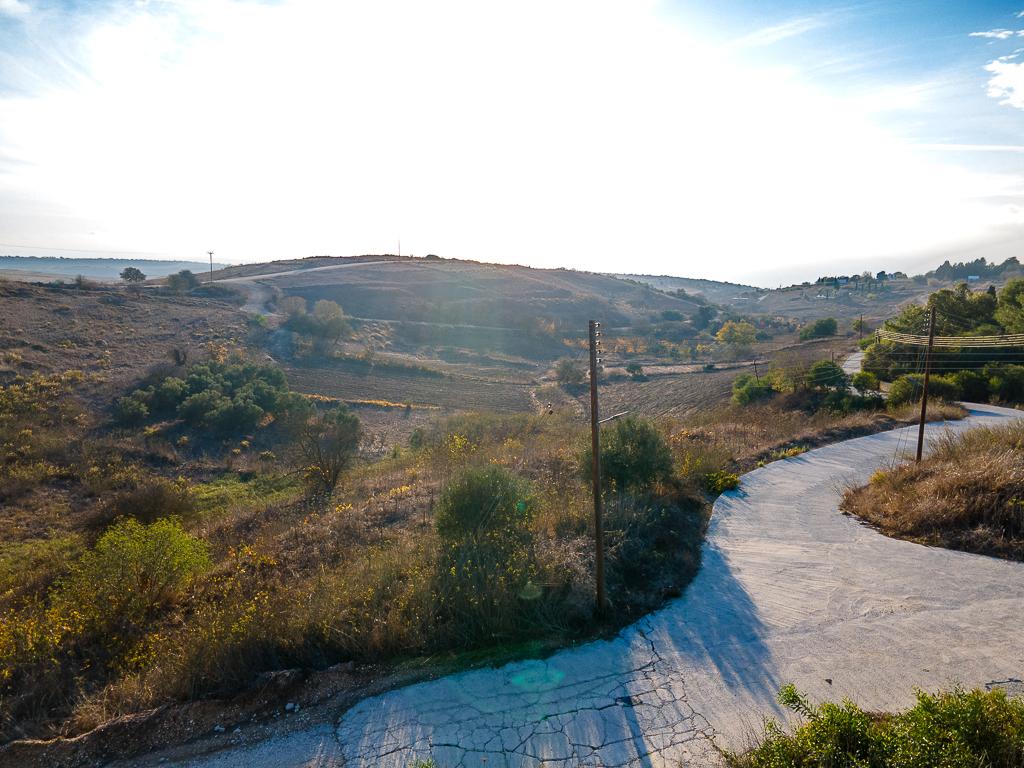 Field-Pano Arodes-PR36971