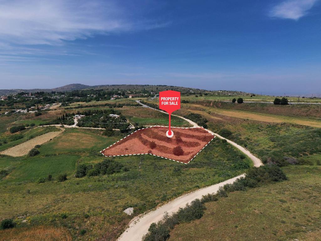 Field-Pano Arodes-PR36971