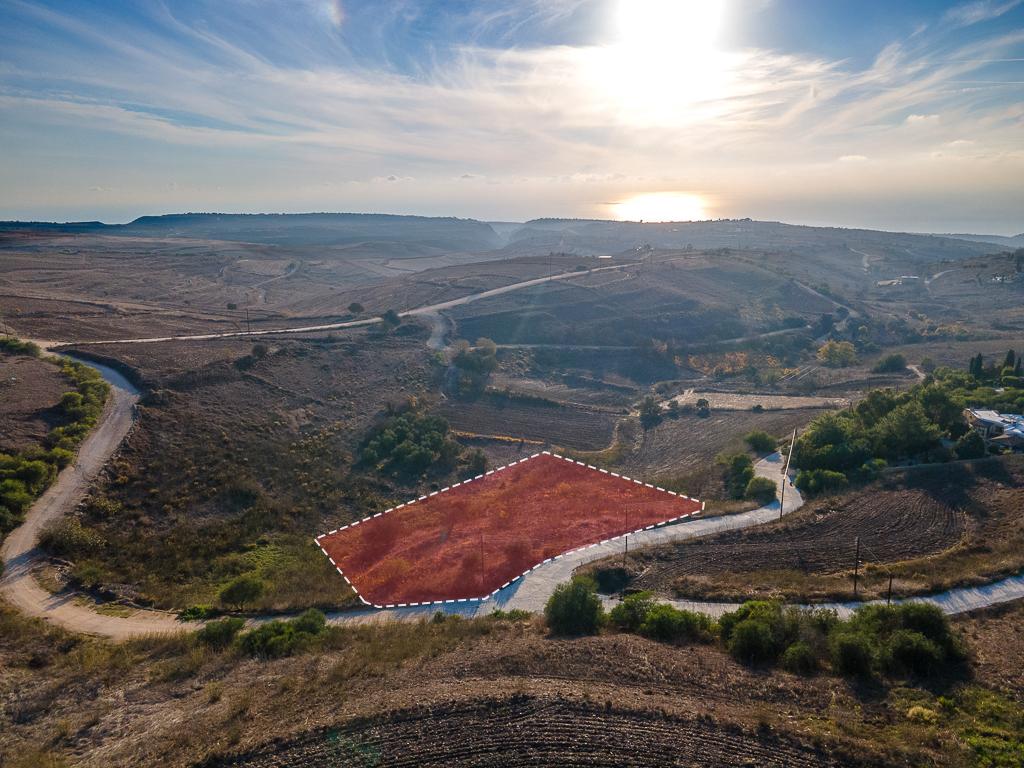 Field-Pano Arodes-PR36971