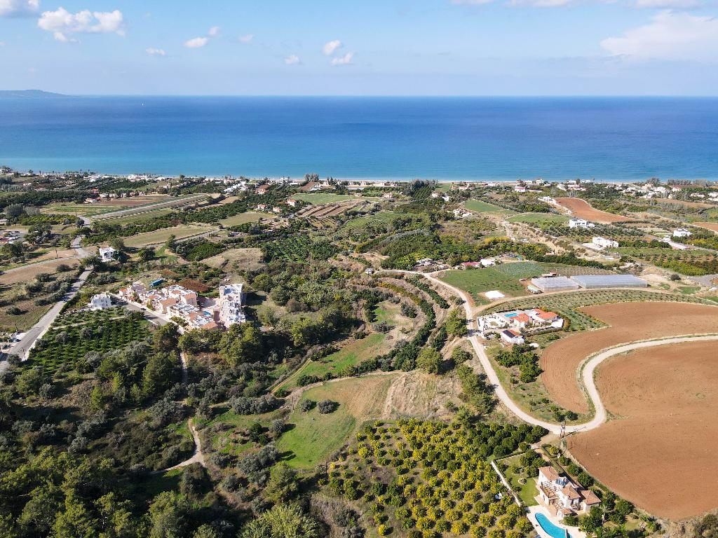 Field - Argaka, Paphos