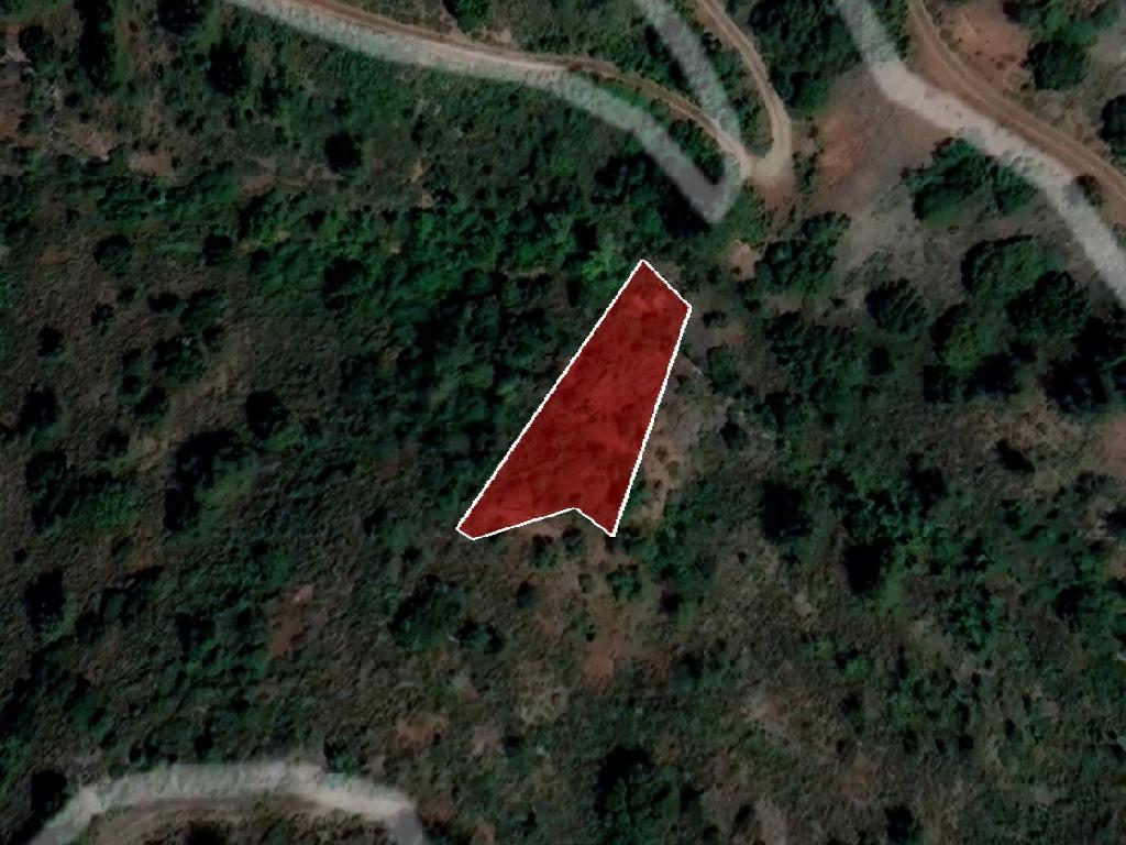 Field-Gourri-PR39751