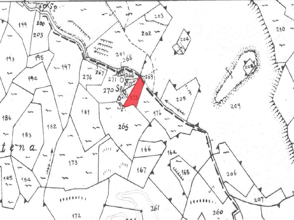 Field-Gourri-PR39751