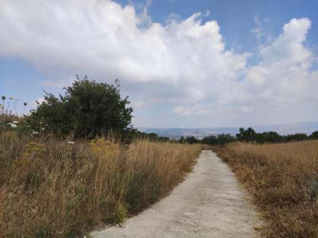 Field-Aksilou-PR41423