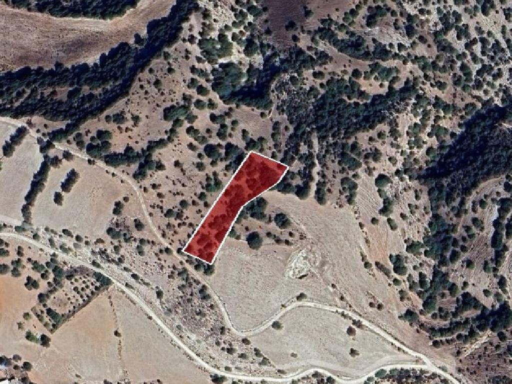 Field-Aksilou-PR41423