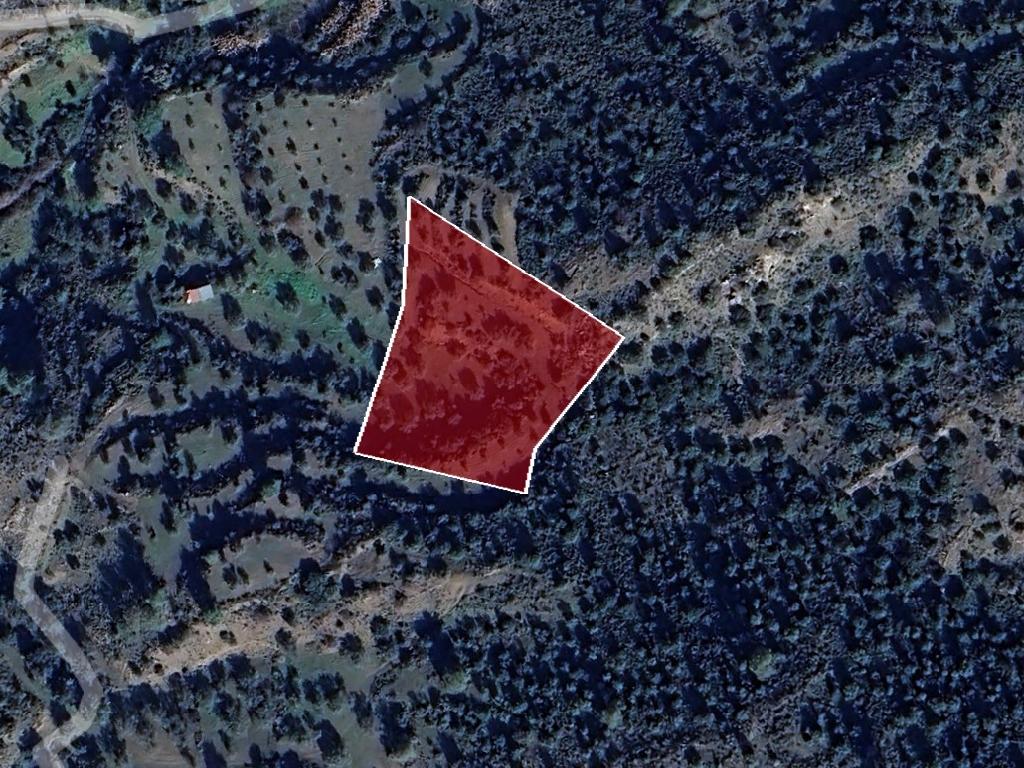 Field -  Lythrodonta, Nicosia