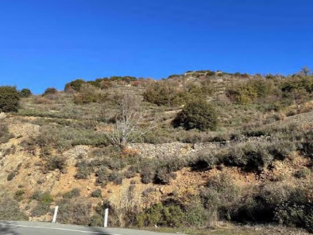 Field-Palaichori Morfou-PR41922