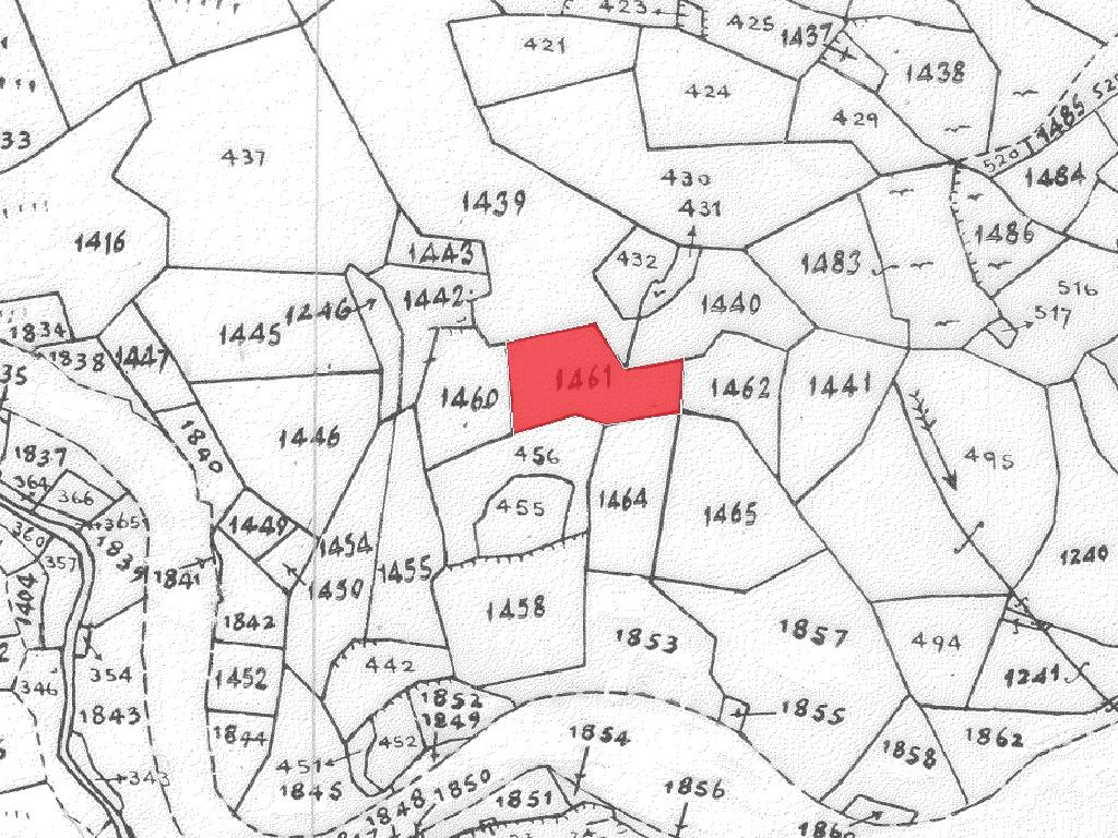 Field-Palaichori Morfou-PR41922
