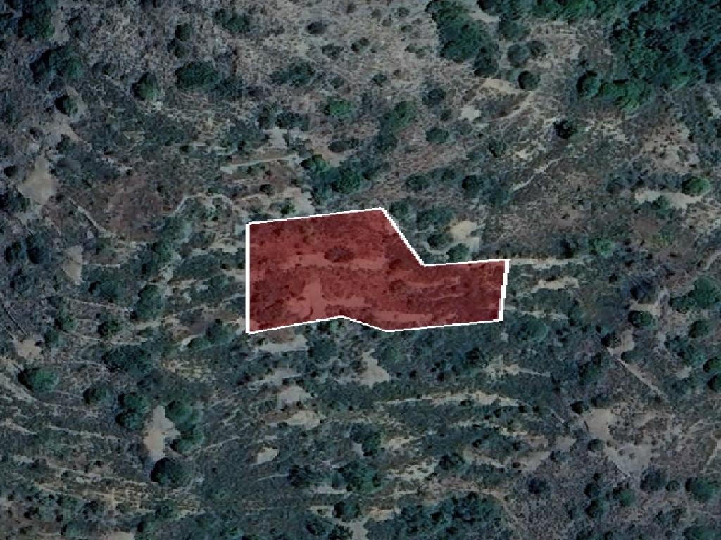 Field-Palaichori Morfou-PR41922