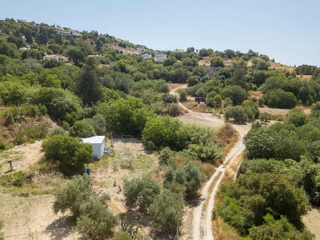 Field-Armou-PR42623
