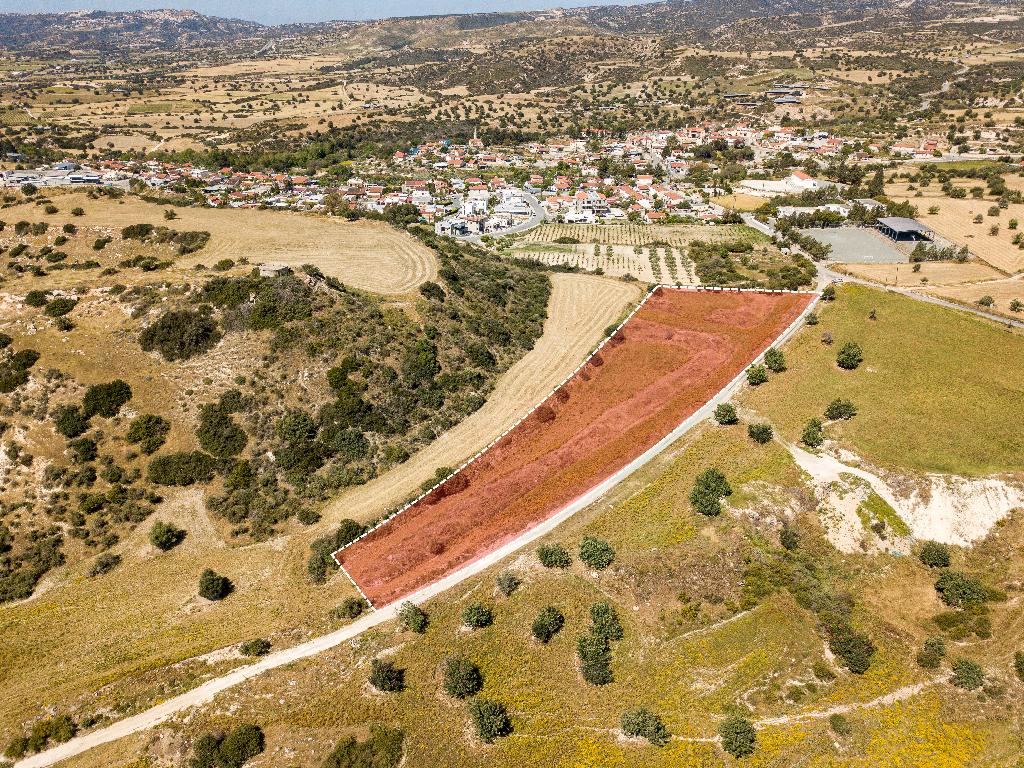 Field - Avdimou, Limassol