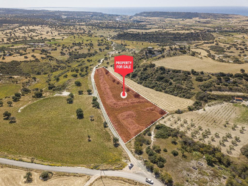 Field - Avdimou, Limassol