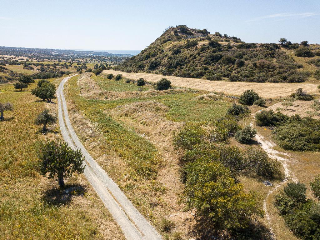 Field - Avdimou, Limassol