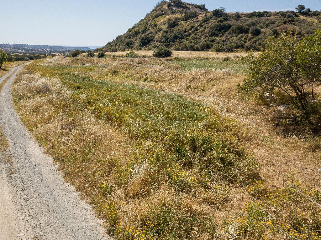 Field - Avdimou, Limassol