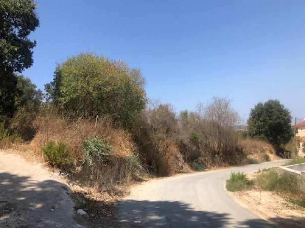Field - Stroumpi, Paphos