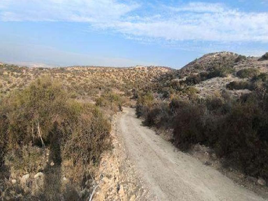 Field-Psematismenos-PR12296