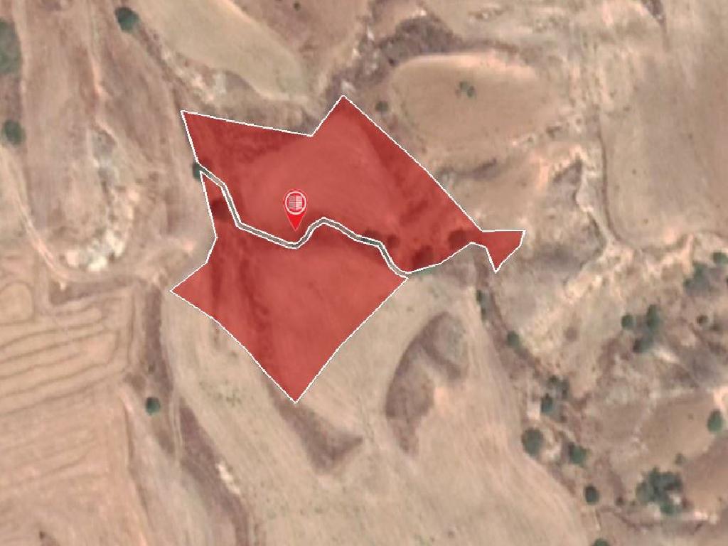 Field-Paleometocho-PR10237