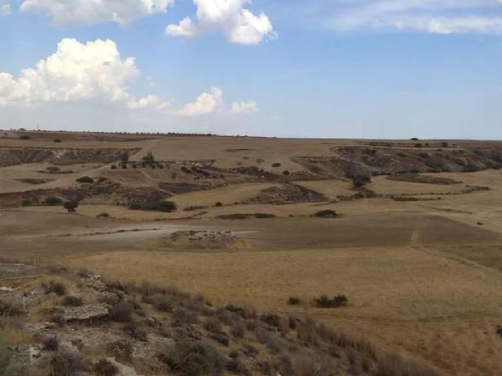 Field-Paleometocho-PR10237