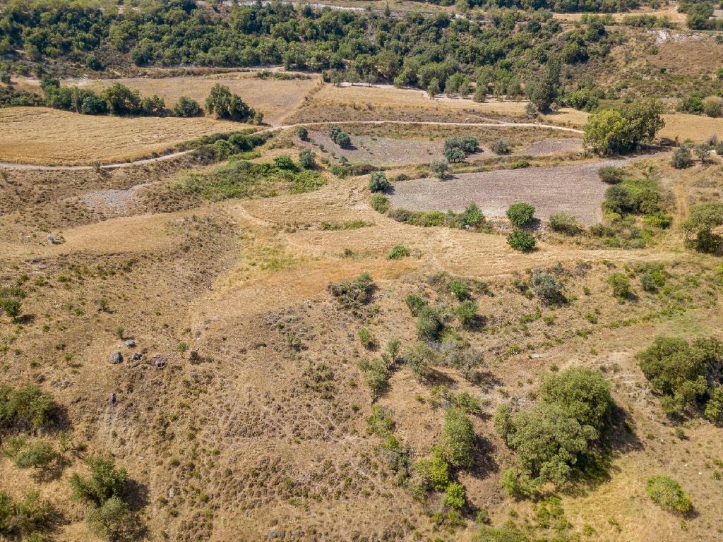 Field-Simou-PR15298