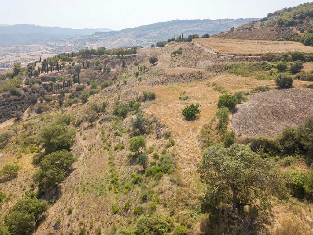 Field-Simou-PR15298