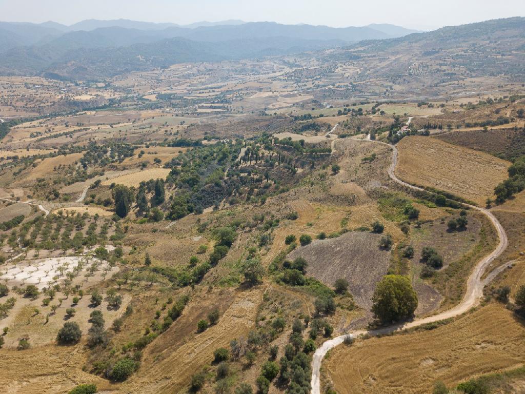 Field-Simou-PR15298