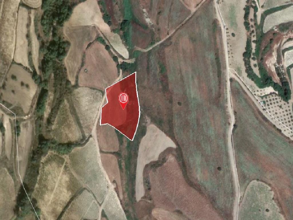 Field-Stroumpi-PR14775