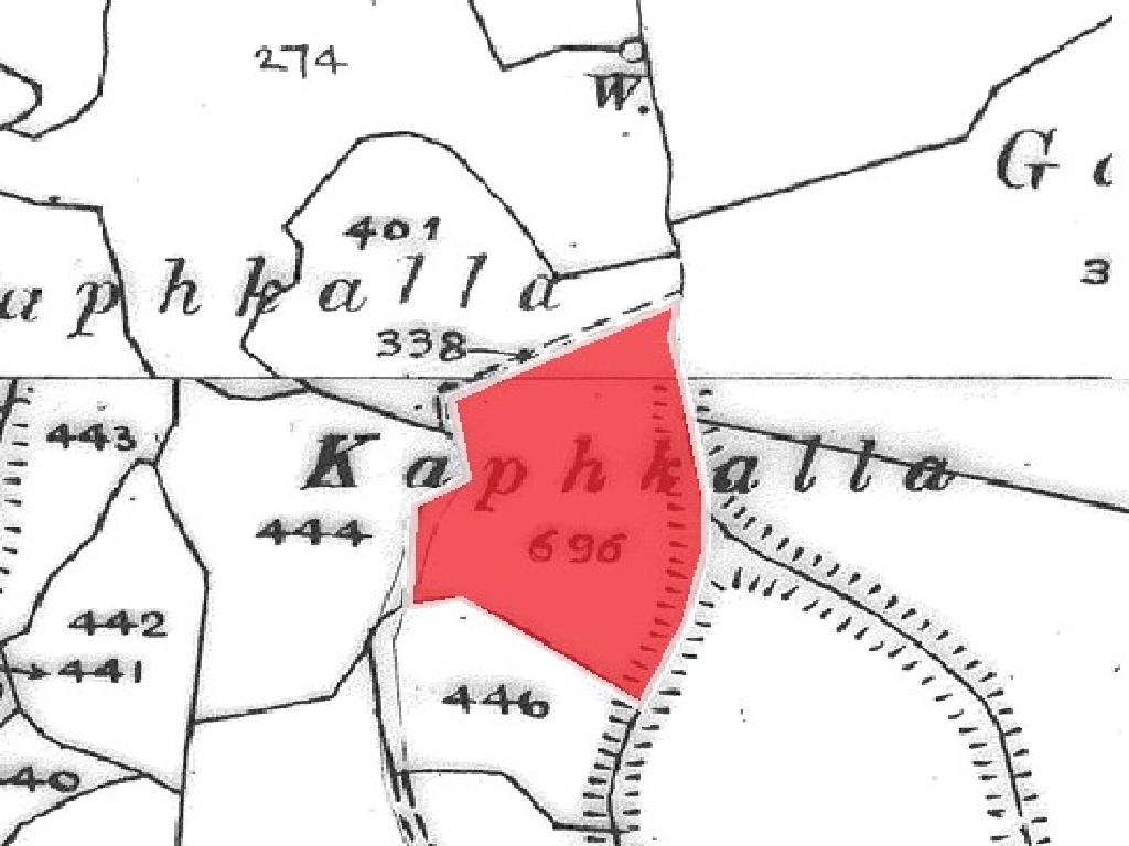 Field-Stroumpi-PR14775