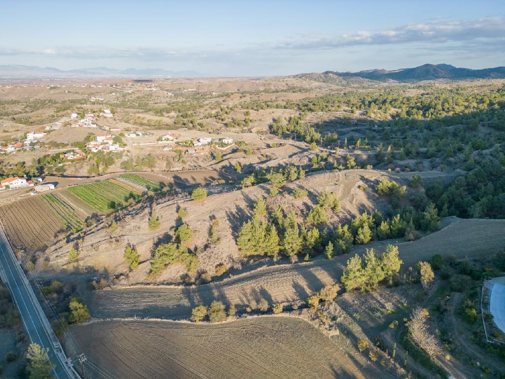 Field - Nikitari, Nicosia