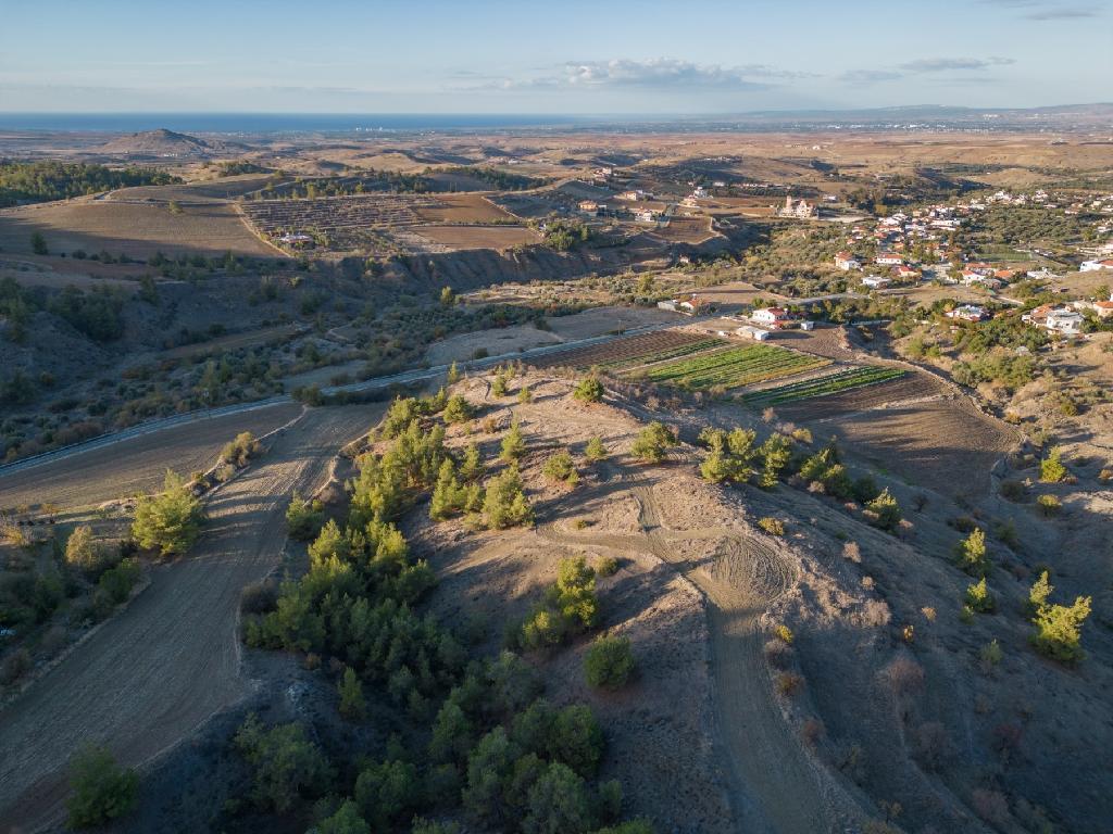 Field - Nikitari, Nicosia
