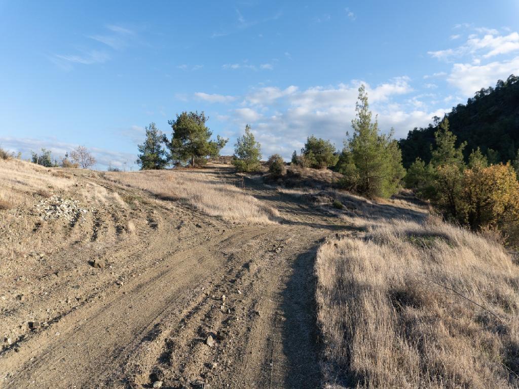 Field-Nikitari-PR32905