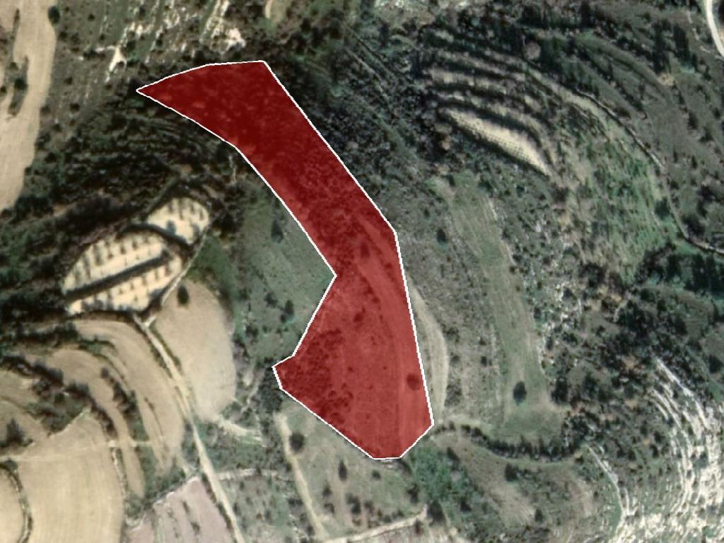 Field-Kritou Terra-PR34985