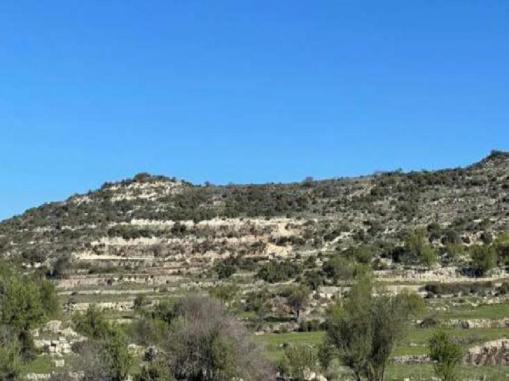 Field-Pachna-PR35341