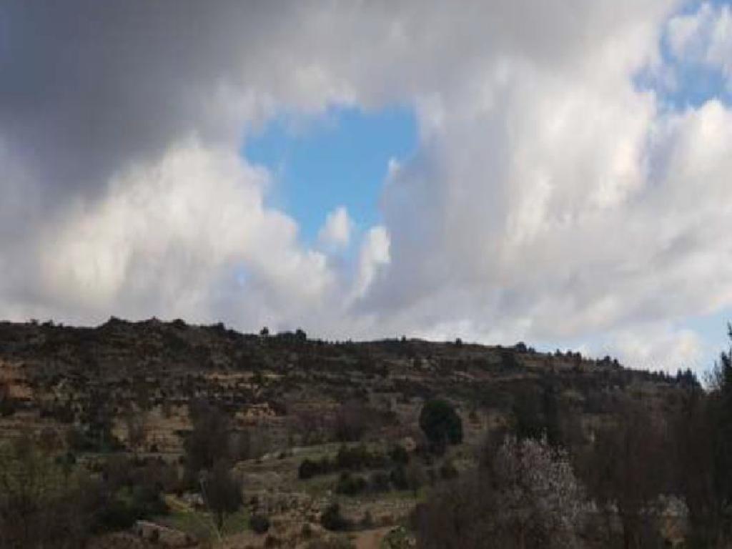 Field-Pachna-PR35341