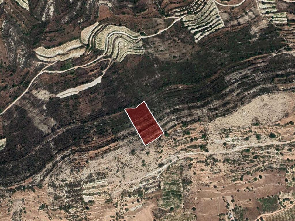Field-Pachna-PR35341