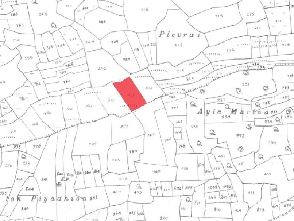 Field-Pachna-PR35341