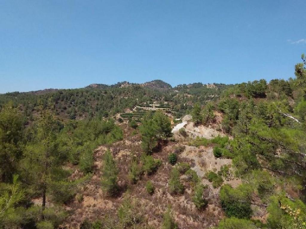 Field-Pelendri-PR34289