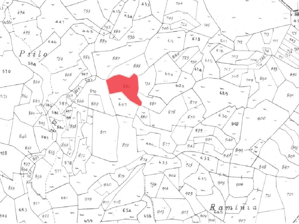 Field-Pelendri-PR34289