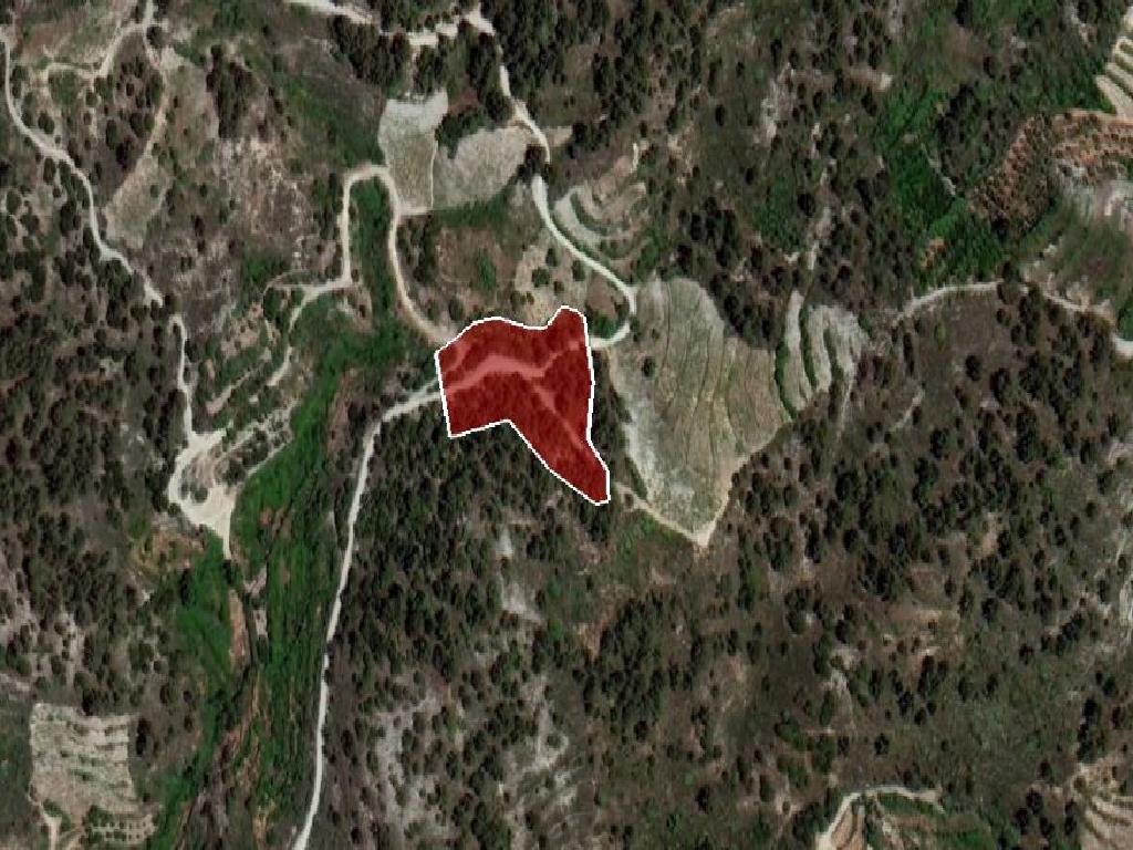 Field-Pelendri-PR34289