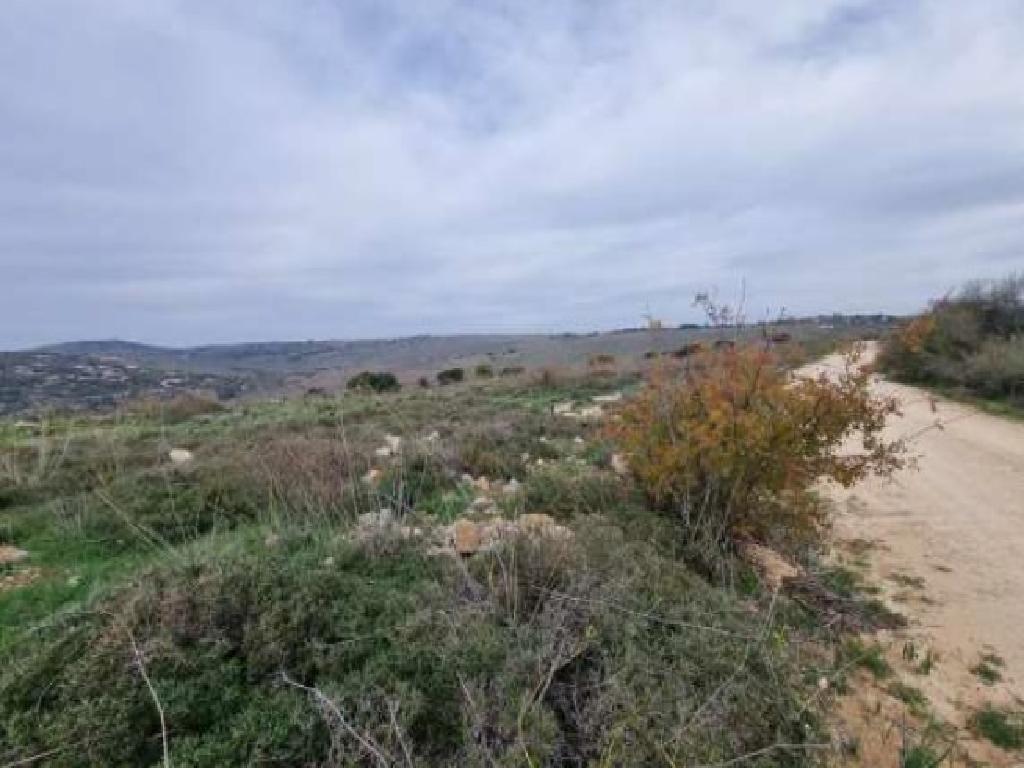 Field - Pano Arodes, Paphos