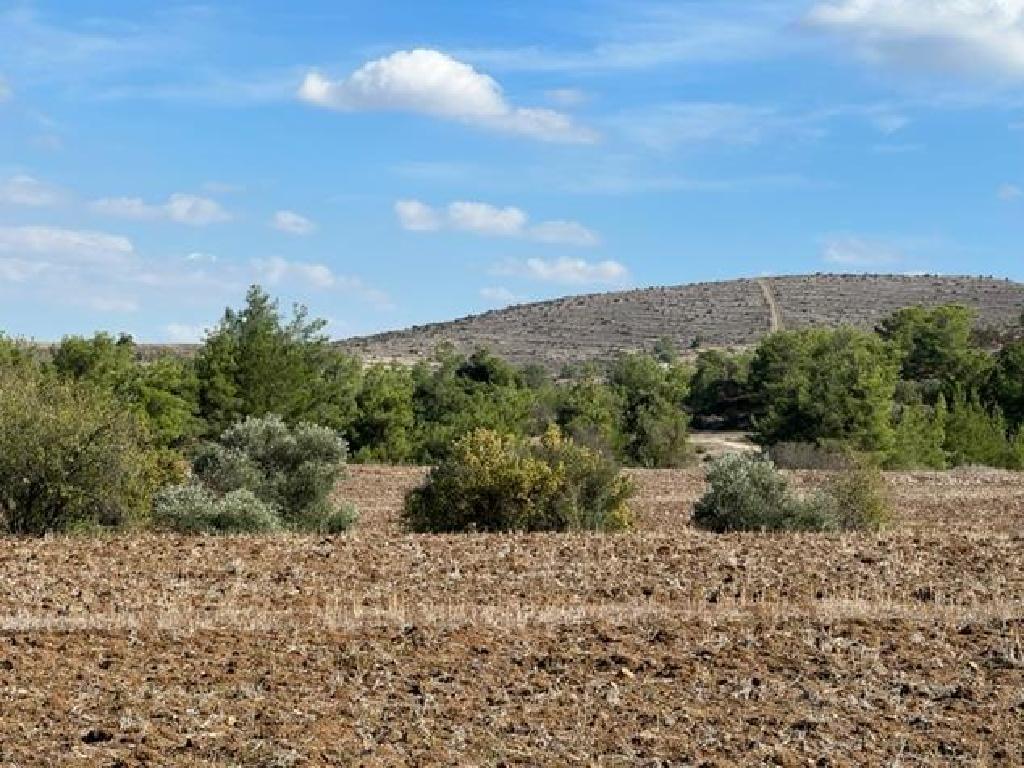 Field-Mitsero-PR41259