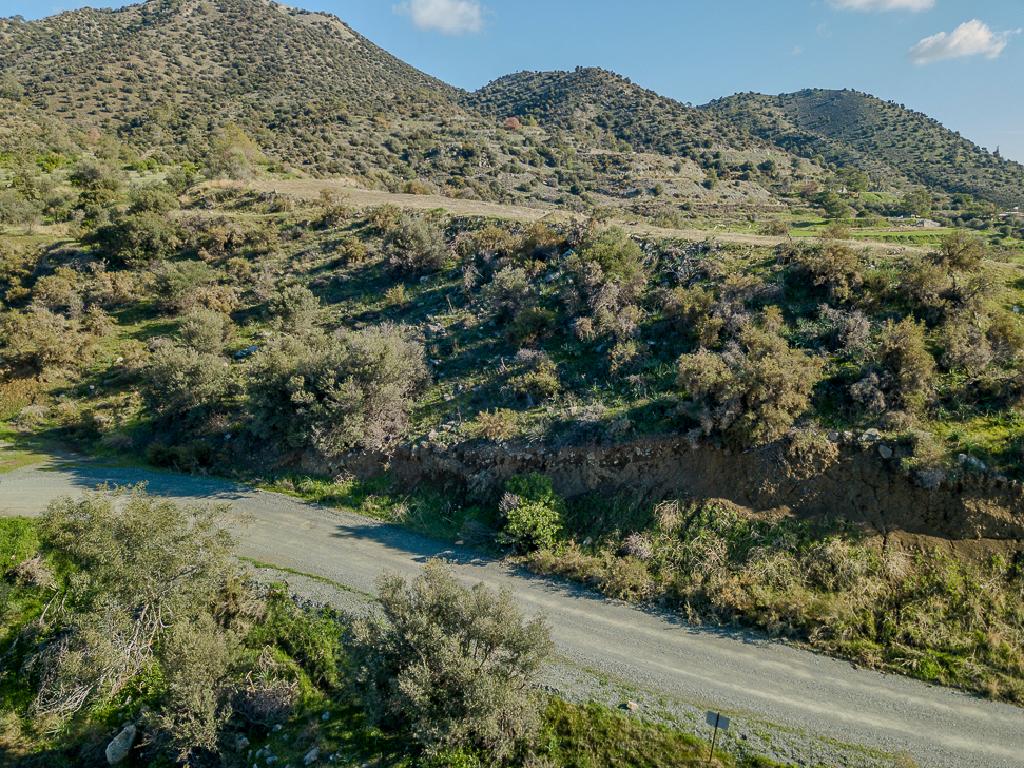 Field-Pyrgos-PR41581