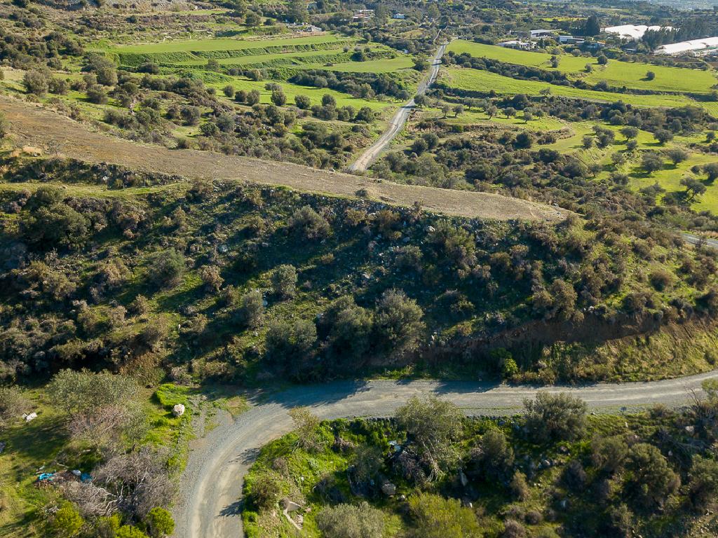 Field-Pyrgos-PR41581