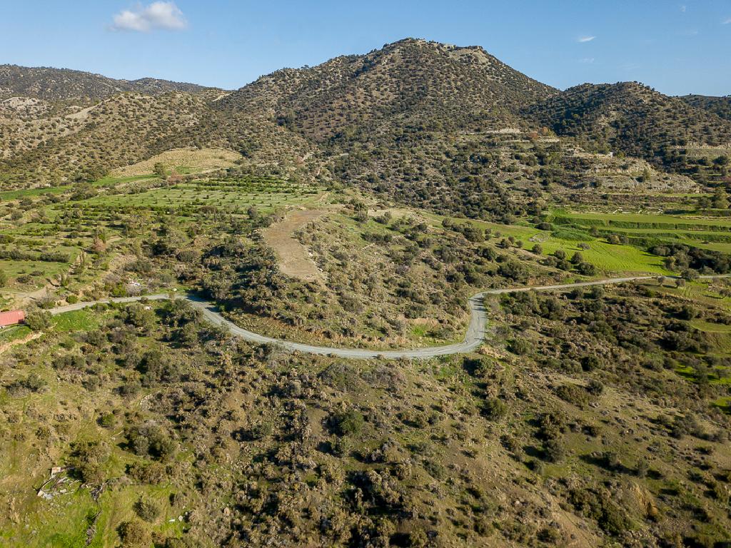 Field-Pyrgos-PR41581