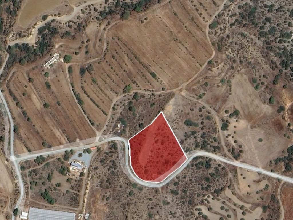 Field-Pyrgos-PR41581