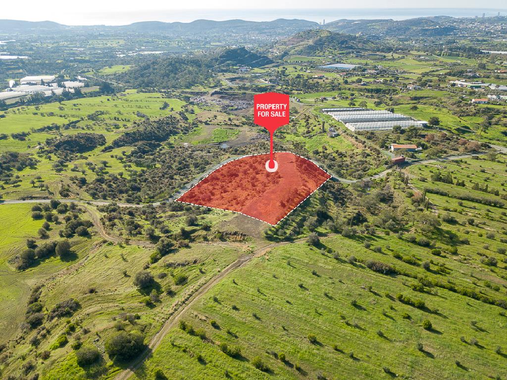 Field-Pyrgos-PR41581