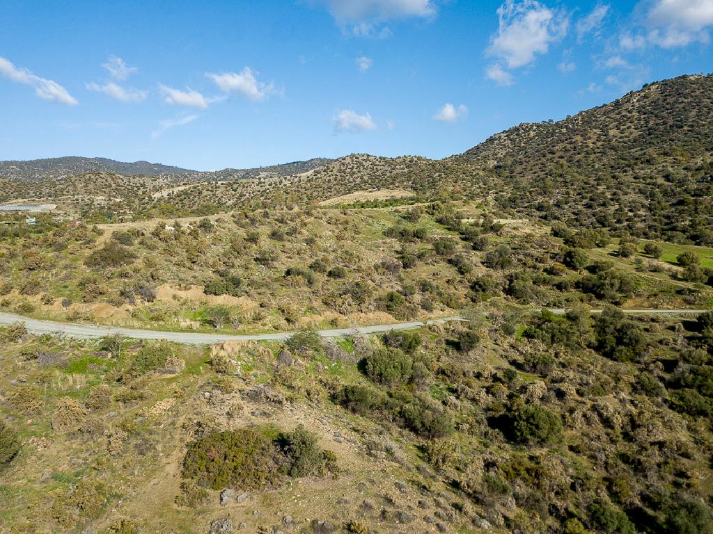 Field-Pyrgos-PR41581