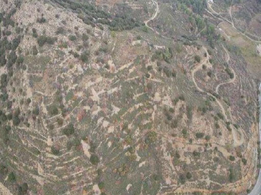 Field-Palaichori Morfou-PR41923