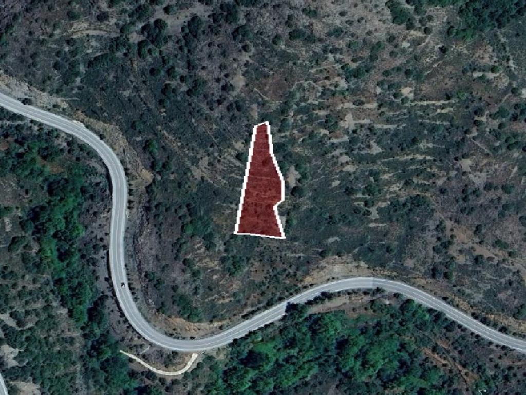 Field-Palaichori Morfou-PR41923