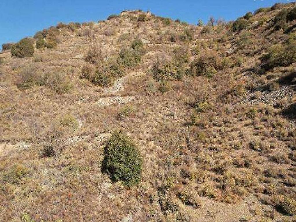 Field - Palaichori Morfou, Nicosia
